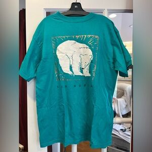 Tultex Vibrant Teal Cotton Tee